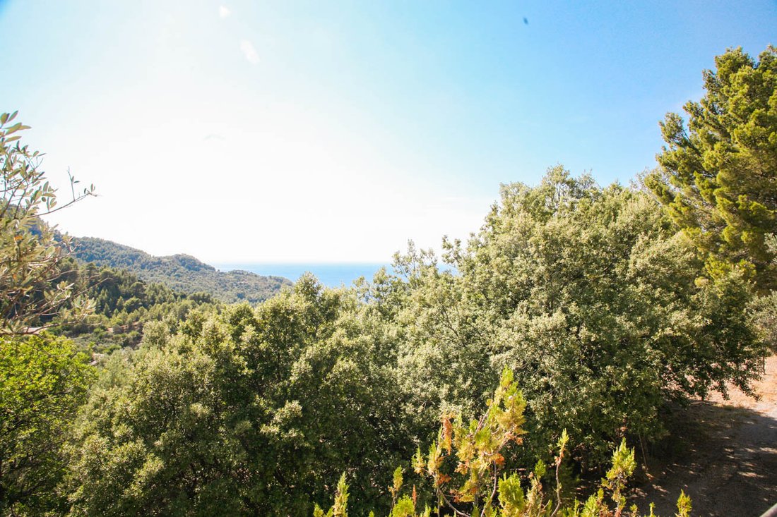 Finca a Estellencs, Isole Baleari, Spagna 5 - 17773274