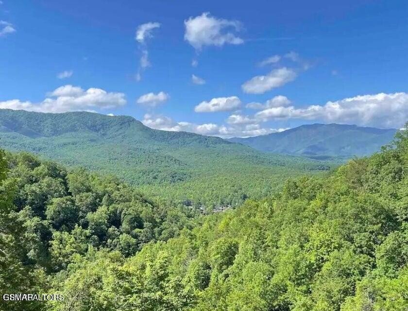 House in Gatlinburg, Tennessee, United States 3 - 18436939