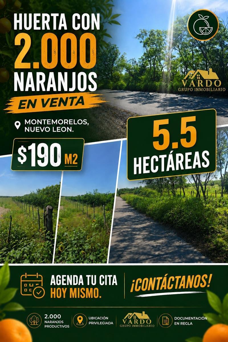 Land in Montemorelos, Nuevo Leon, Mexico 1 - 18438610