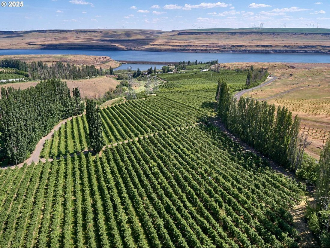 Land in Goodnoe Hills, Washington, United States 2 - 18439574