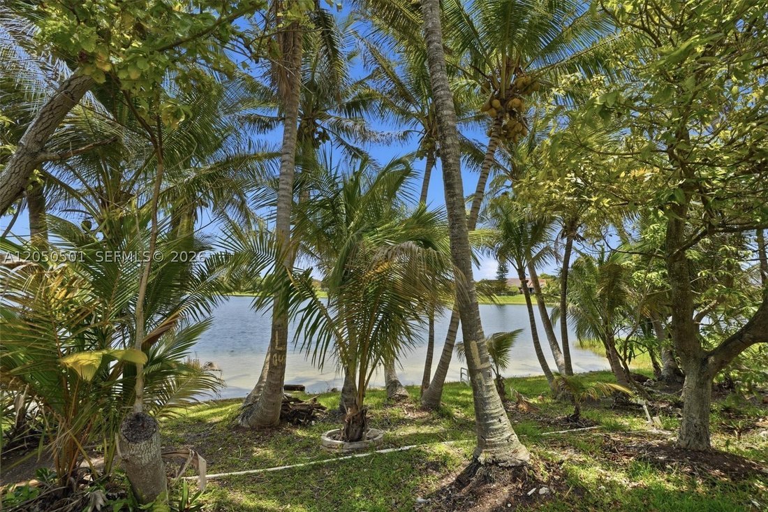 House in Miami, Florida, United States 4 - 18378561