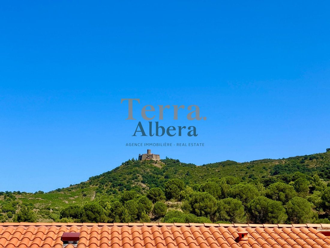 Apartment in Collioure, Occitania, France 3 - 18441011
