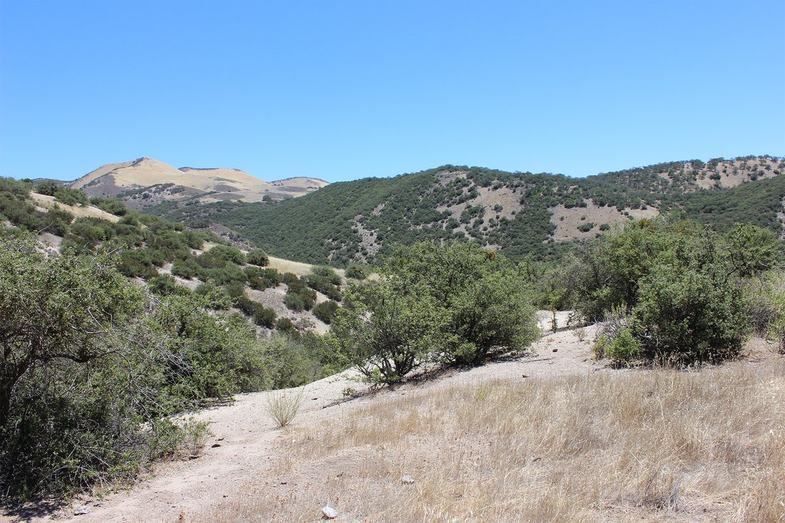Land in Greenfield, California, United States 5 - 18441916
