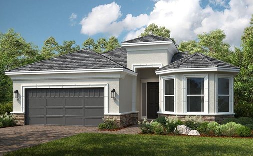 House in Zephyrhills, Florida, United States 1