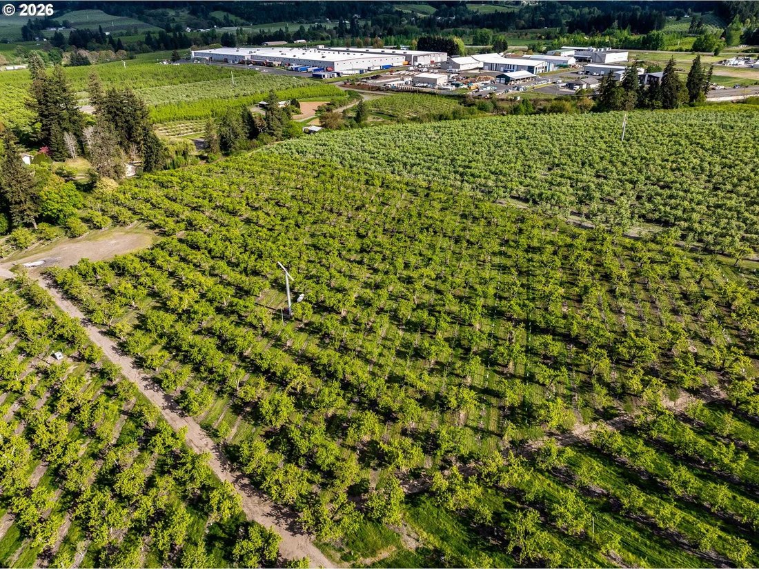 Land in Hood River, Oregon, United States 3 - 18439723