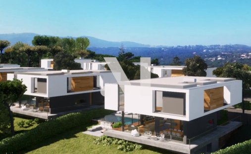 Land in Colares, Lisbon, Portugal 1