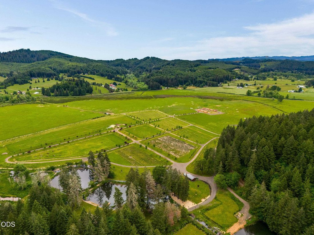 House in Veneta, Oregon, United States 3 - 18439853