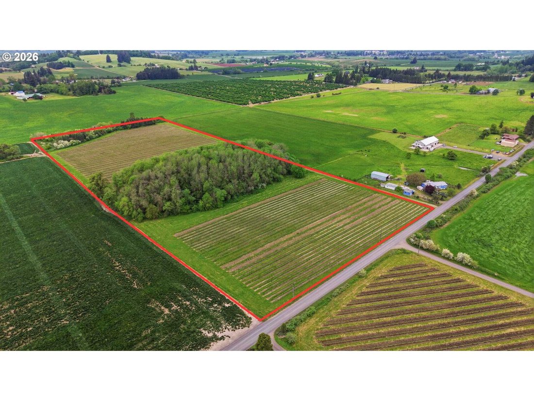 Land in Carlton, Oregon, United States 1 - 18439805