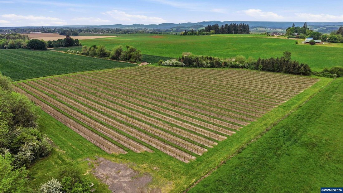 Land in Carlton, Oregon, United States 3 - 18440130