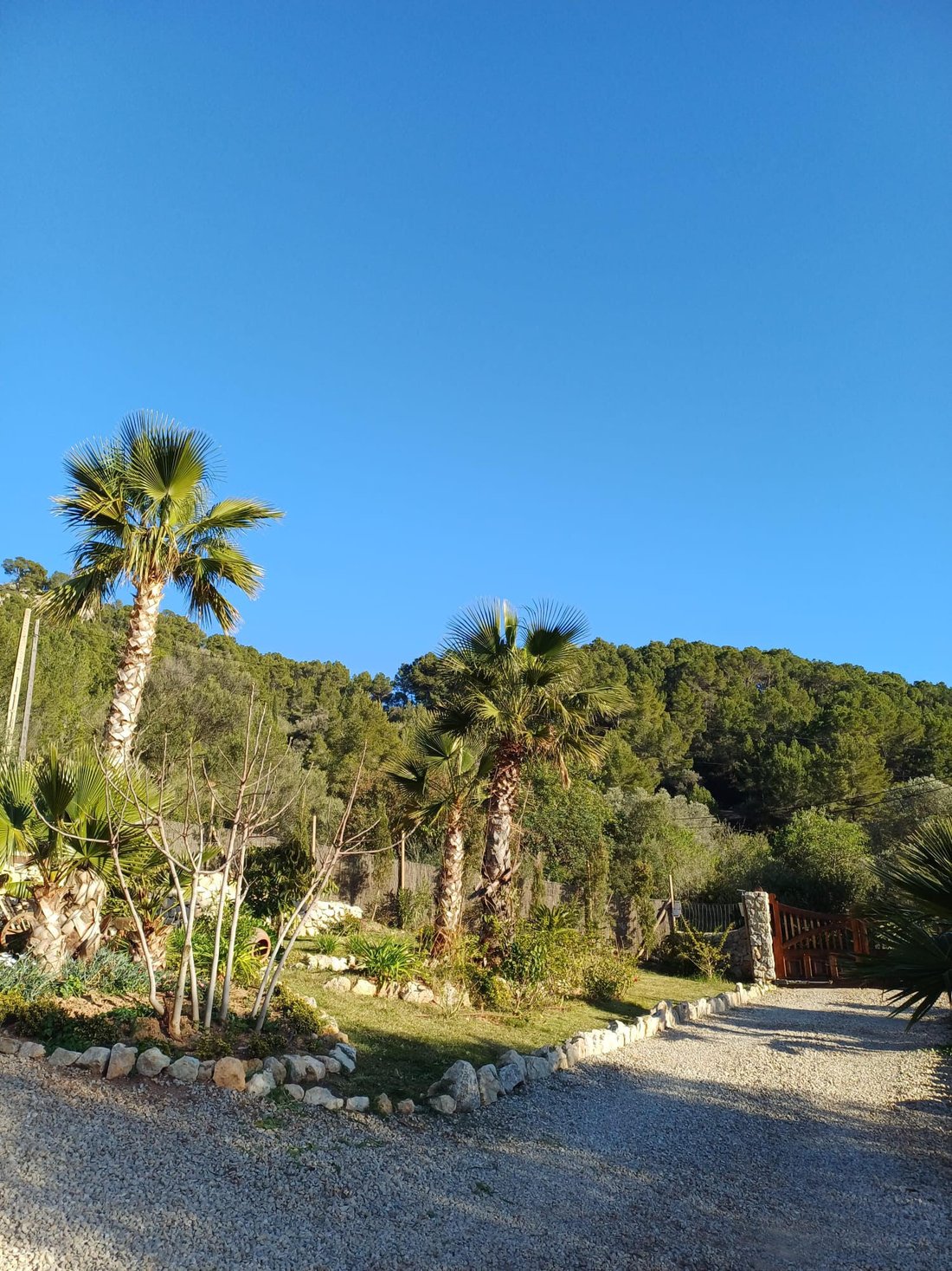 Finca in Andratx, Balearic Islands, Spain 3 - 18394703