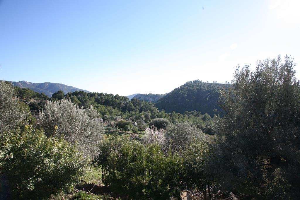 Finca in Andratx, Balearic Islands, Spain 2 - 17773216