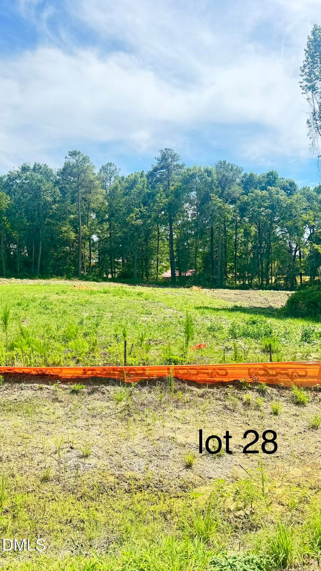 House in Lillington, North Carolina, United States 2 - 18440092