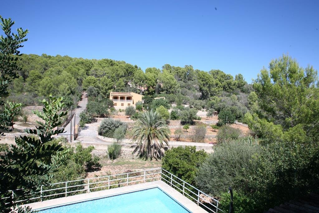 Finca in Port d'Andratx, Andratx, Balearic Islands 2 - 17773245