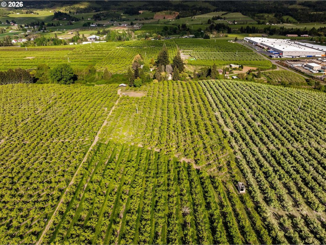 Land in Hood River, Oregon, United States 1 - 18439723