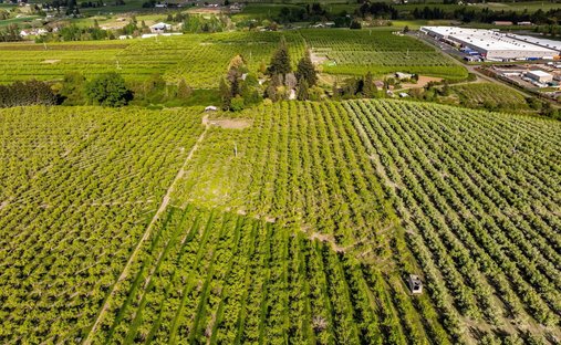 Land in Hood River, Oregon, United States 1