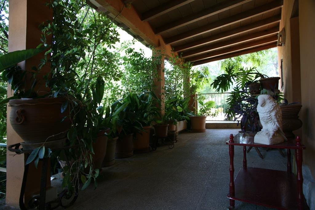 Finca in Port d'Andratx, Andratx, Balearic Islands 4 - 17773245