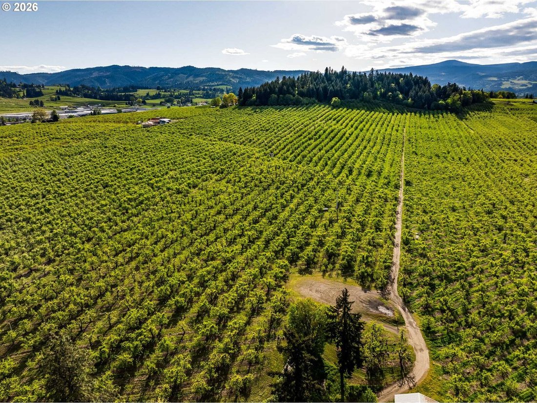 Land in Hood River, Oregon, United States 5 - 18439723