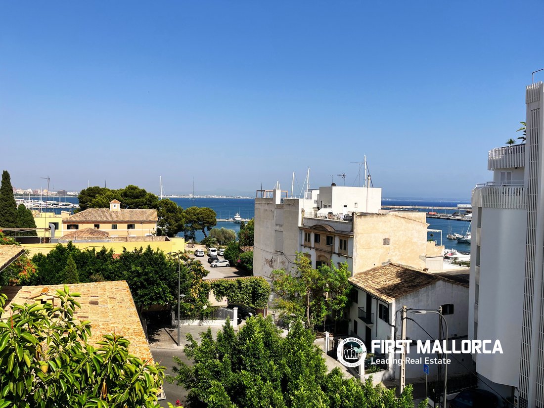 Apartment in Palma, Balearic Islands, Spain 1 - 18441110