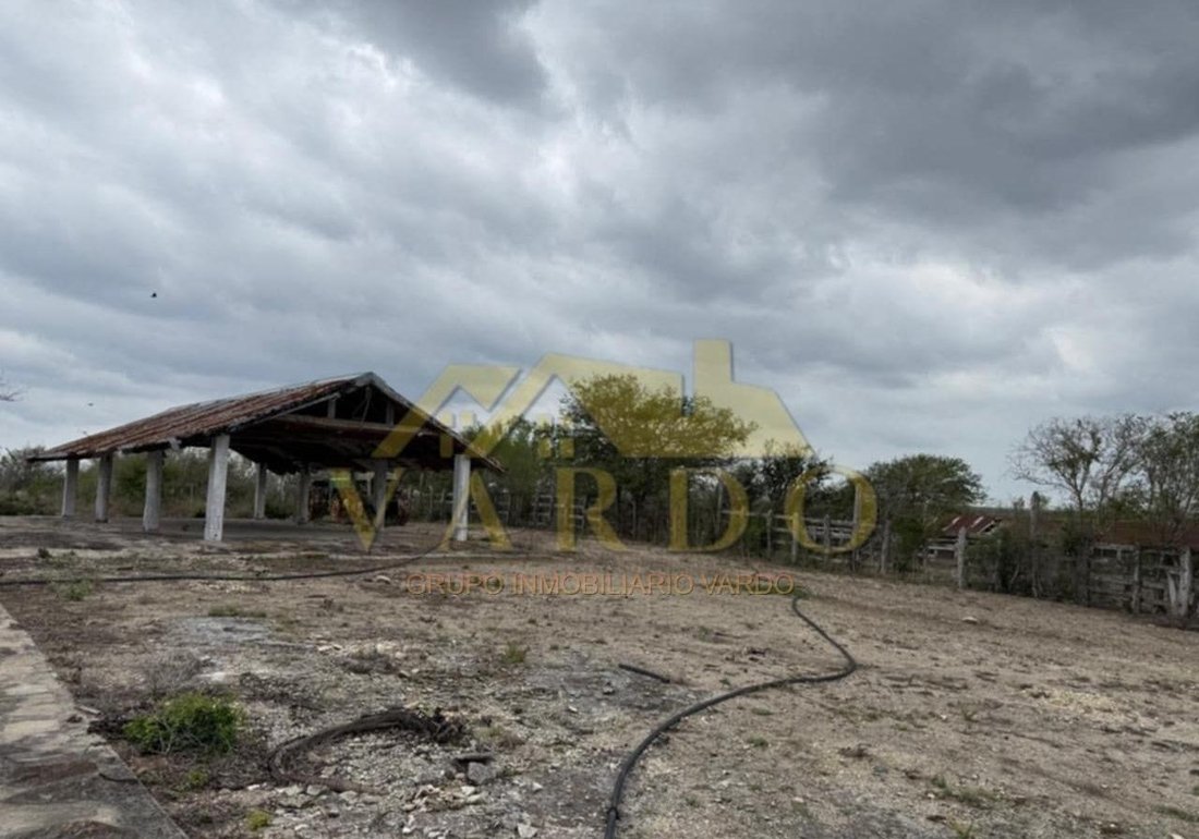 Land in Soto la Marina, Tamaulipas, Mexico 2 - 18438629