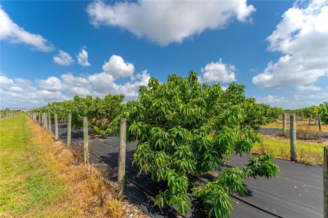 Land in Homestead, Florida, United States 2 - 18441595