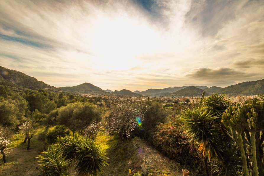 Finca in Andratx, Balearic Islands, Spain 1 - 17773235