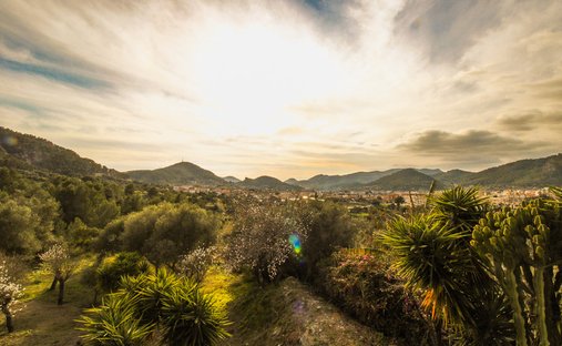 Finca in Andratx, Balearic Islands, Spain 1