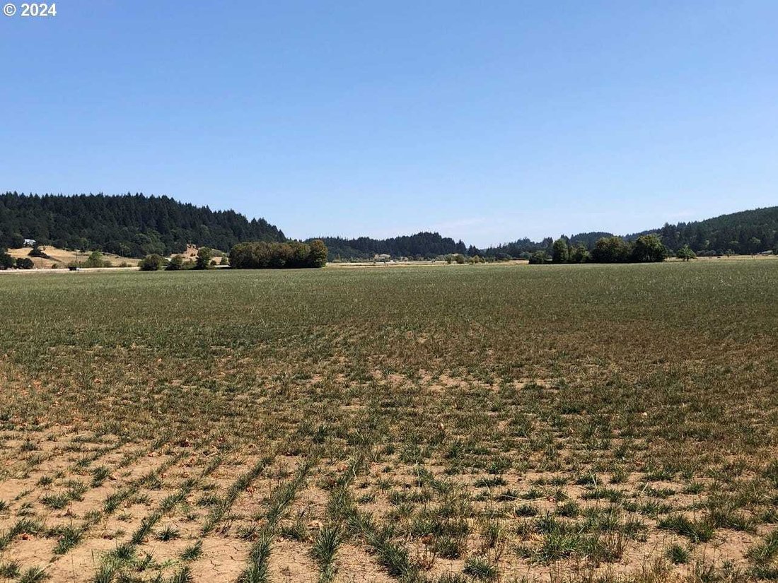 Land in Willamina, Oregon, United States 2 - 18439583