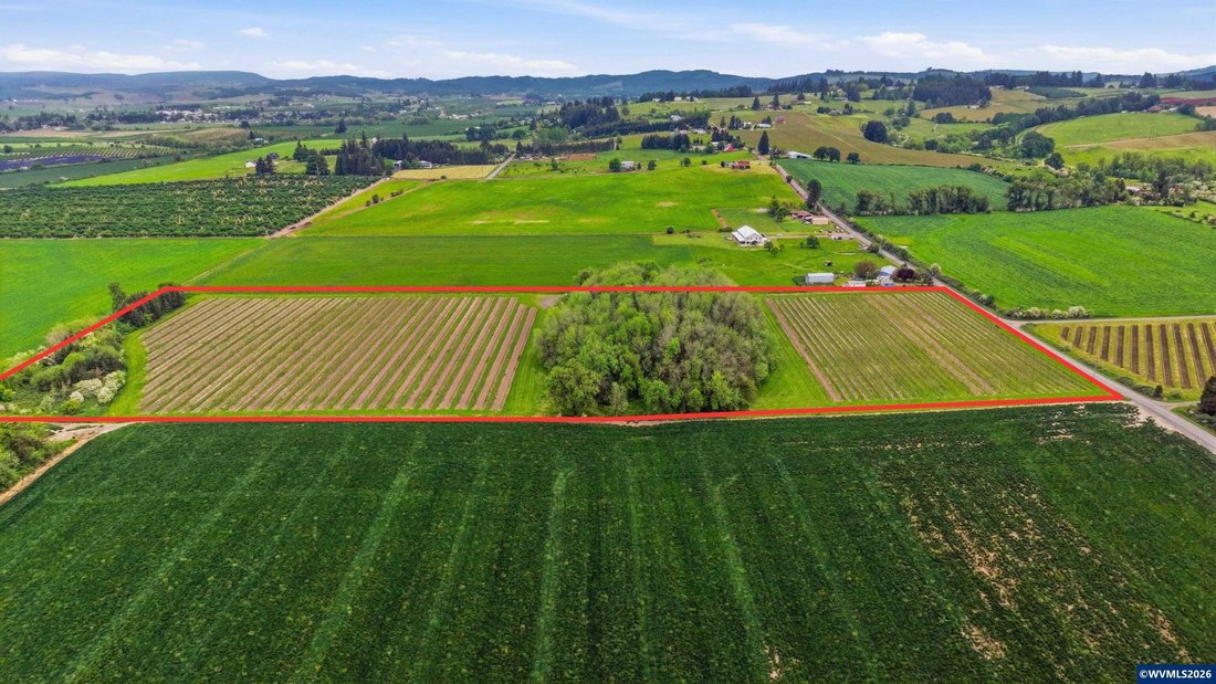 Land in Carlton, Oregon, United States 1 - 18440130