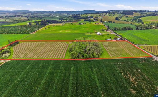 Land in Carlton, Oregon, United States 1
