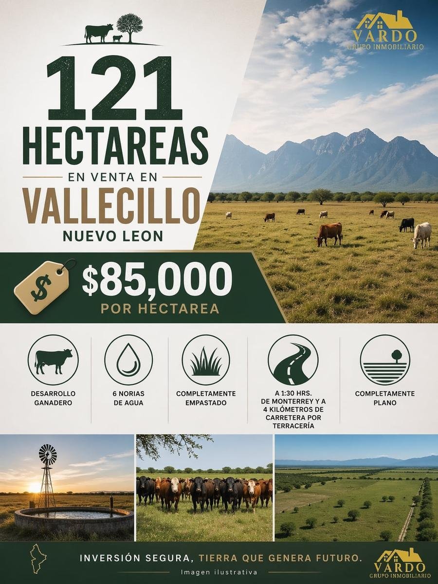 Land in Vallecillo, Nuevo Leon, Mexico 1 - 18438611