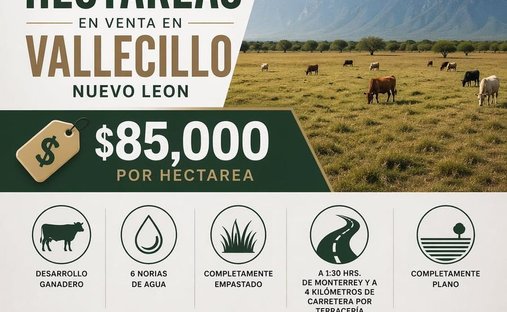 Land in Vallecillo, Nuevo Leon, Mexico 1