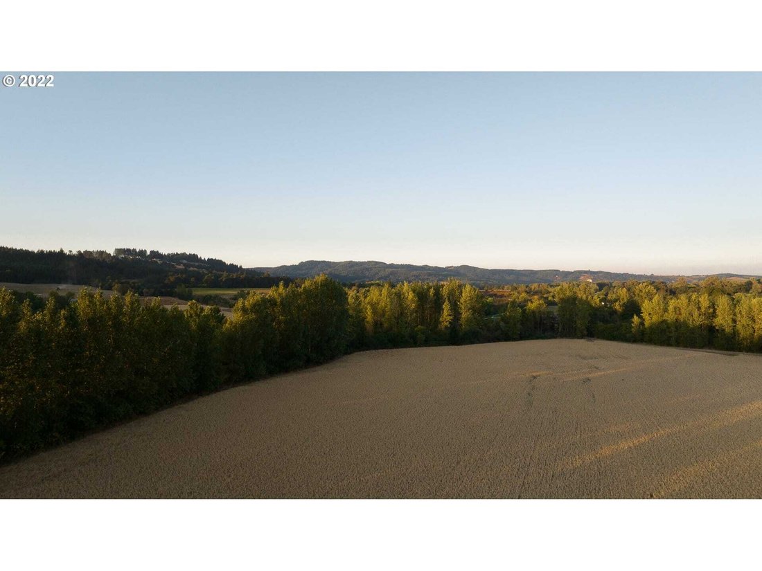 Land in Willamina, Oregon, United States 4 - 18439579