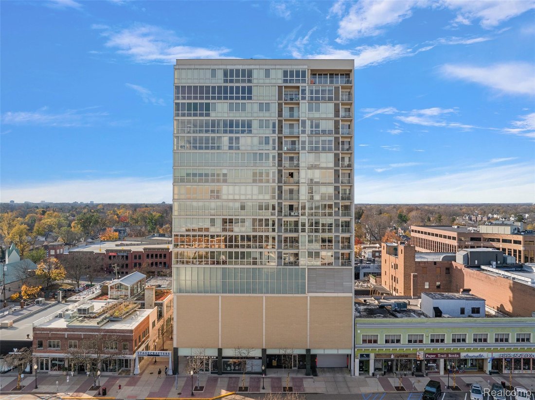 Condo in Royal Oak, Michigan, United States 1 - 18440401