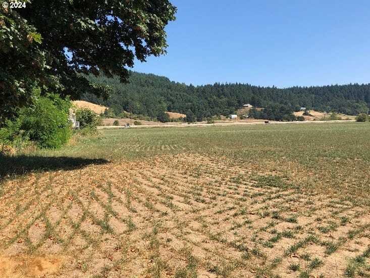 Land in Willamina, Oregon, United States 3 - 18439583