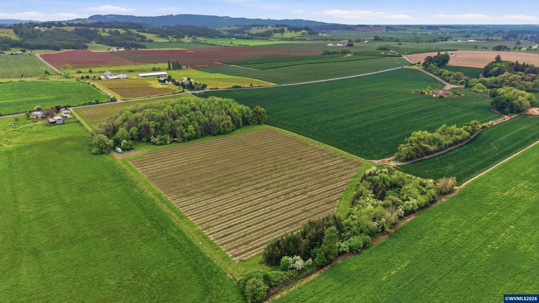 Land in Carlton, Oregon, United States 5 - 18440130