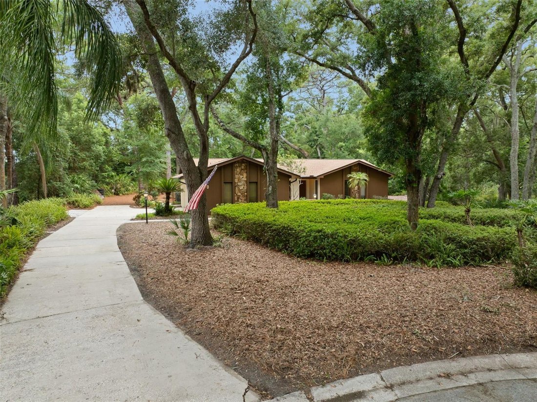 House in Dunedin, Florida, United States 1 - 18439449
