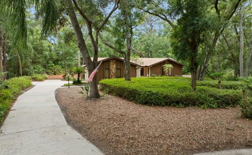 House in Dunedin, Florida, United States 1