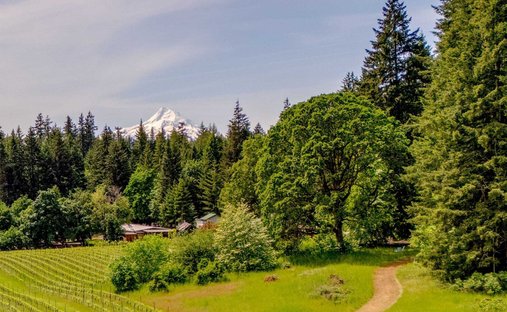 Haus in Underwood, Washington, Vereinigte Staaten 1
