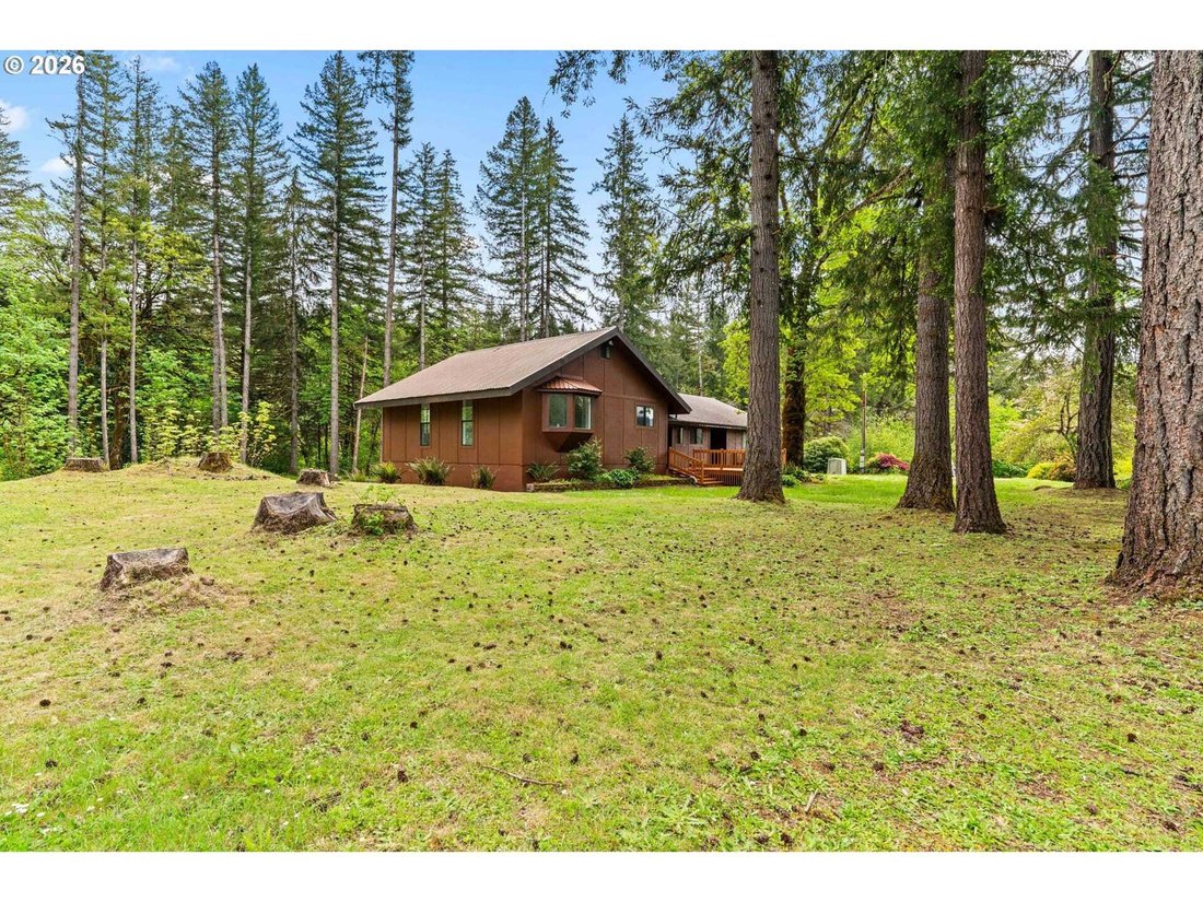 House in Marcola, Oregon, United States 4 - 18439305