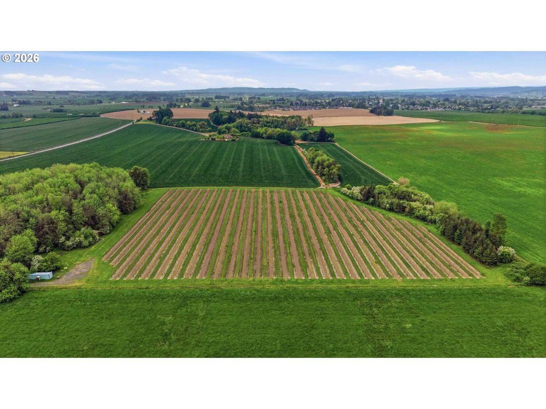 Land in Carlton, Oregon, United States 4 - 18439805