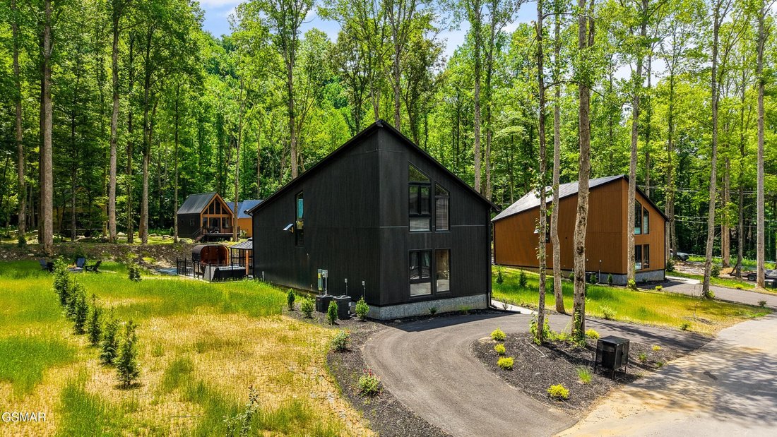 House in Gatlinburg, Tennessee, United States 3 - 18436748