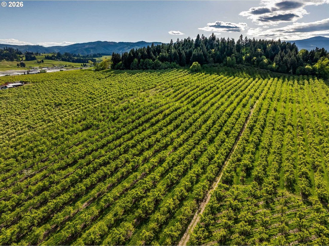 Land in Hood River, Oregon, United States 4 - 18439723