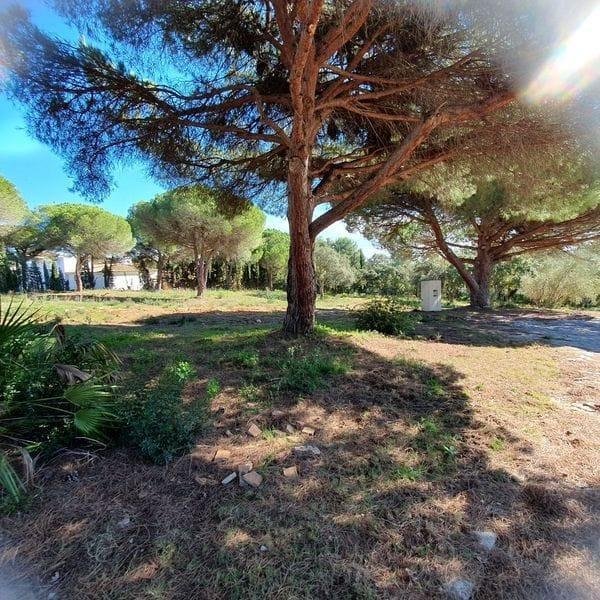 Terreno en Sotogrande, San Roque, Andalucía 1 - 18442759