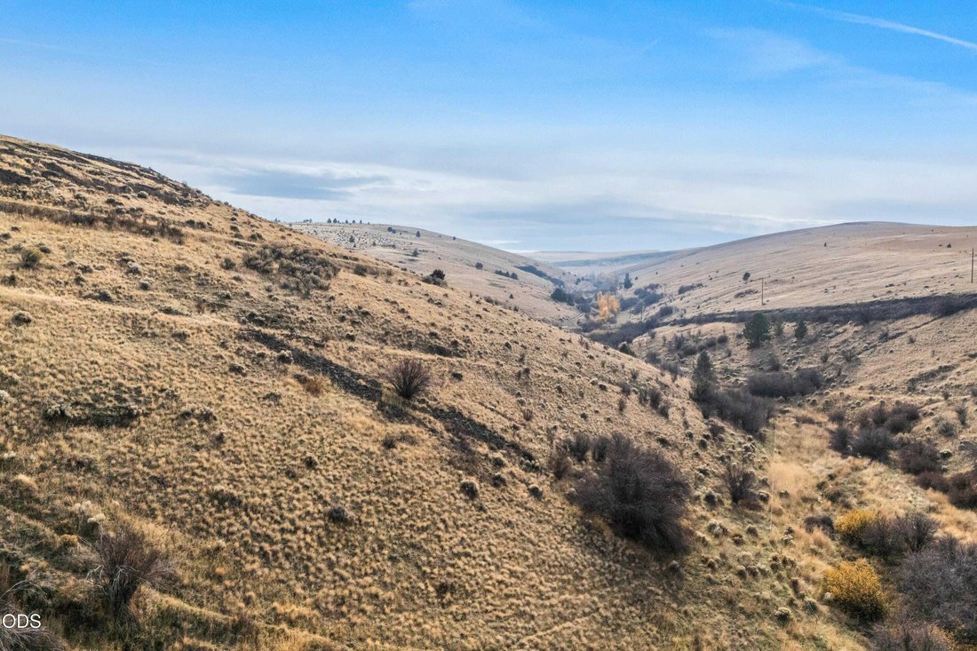 Land in Condon, Oregon, United States 4 - 18439855