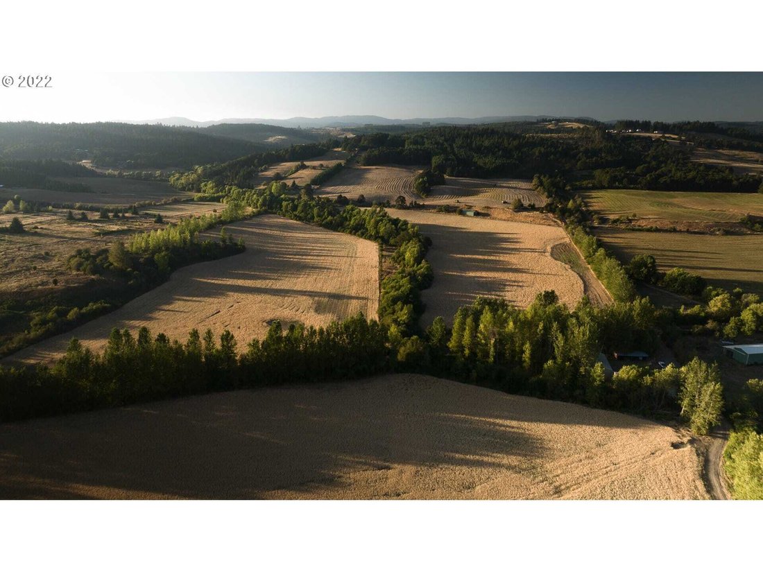 Land in Willamina, Oregon, United States 2 - 18439579