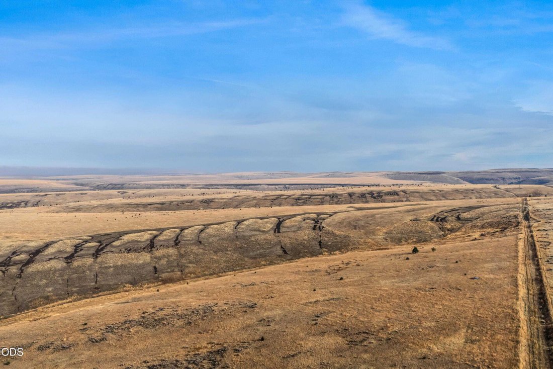 Land in Condon, Oregon, United States 2 - 18439855