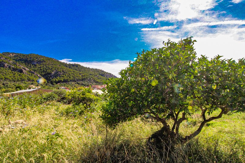 House in Andratx, Balearic Islands, Spain 5 - 17773383