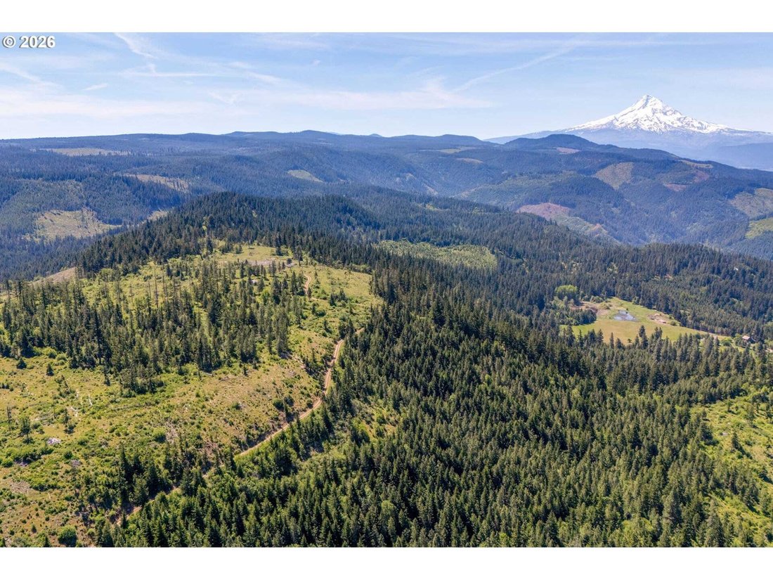 Land in Hood River, Oregon, United States 3 - 18439766