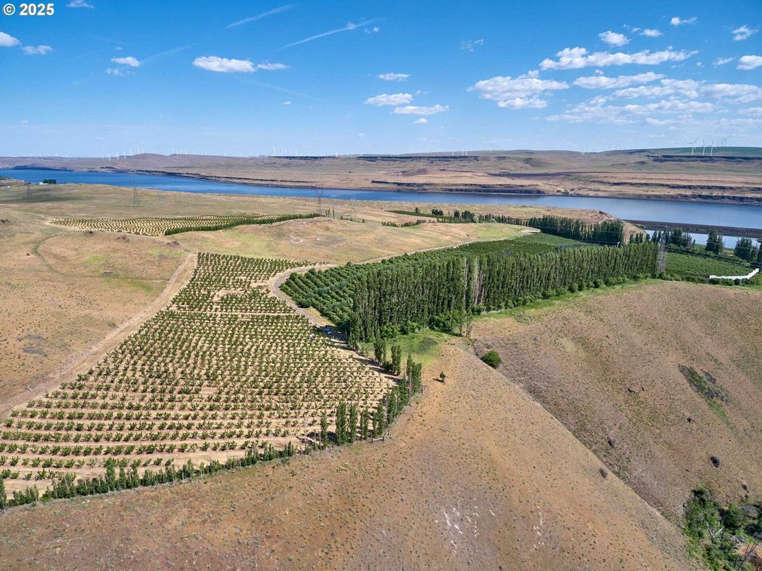 Land in Goodnoe Hills, Washington, United States 5 - 18439574