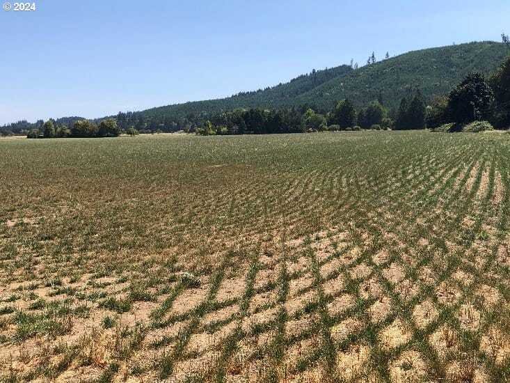 Land in Willamina, Oregon, United States 4 - 18439583